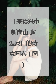来德兴市新岗山 邂逅夏日的诗意画卷（图）