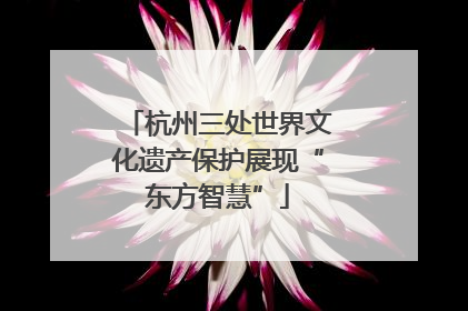 杭州三处世界文化遗产保护展现“东方智慧”