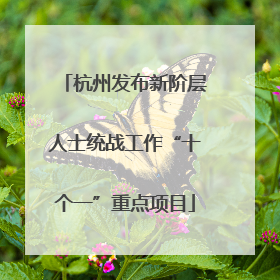 杭州发布新阶层人士统战工作“十个一”重点项目