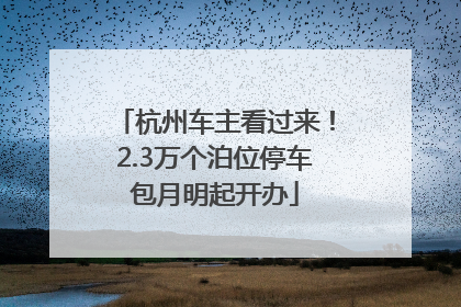 杭州车主看过来！2.3万个泊位停车包月明起开办