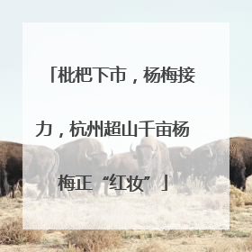 枇杷下市，杨梅接力，杭州超山千亩杨梅正“红妆”