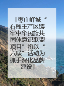 枣庄峄城“石榴主产区铸牢中华民族共同体意识联盟项目”将以“六联”活动为抓手深化品牌建设
