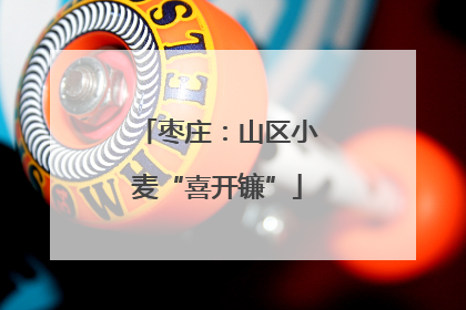 枣庄：山区小麦“喜开镰”