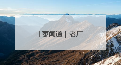 枣闻道｜老厂房里的新婚礼带来新浪漫