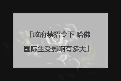 政府禁招令下 哈佛国际生受影响有多大