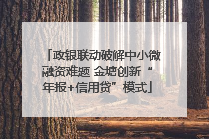 政银联动破解中小微融资难题 金塘创新“年报+信用贷”模式