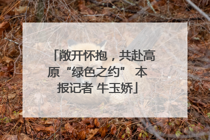 敞开怀抱，共赴高原“绿色之约” 本报记者 牛玉娇