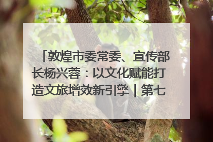 敦煌市委常委、宣传部长杨兴蓉：以文化赋能打造文旅增效新引擎｜第七届全国县域旅游研究成果发布系列活动