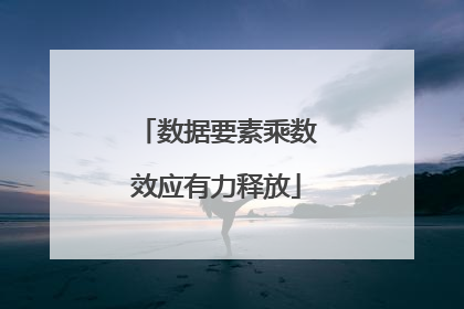 数据要素乘数效应有力释放