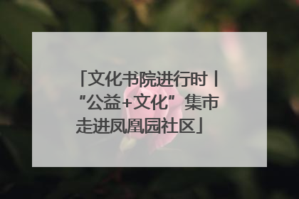文化书院进行时丨“公益+文化”集市走进凤凰园社区