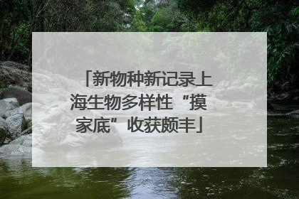 新物种新记录上海生物多样性“摸家底”收获颇丰