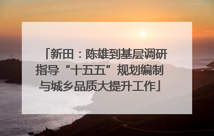 新田：陈雄到基层调研指导“十五五”规划编制与城乡品质大提升工作