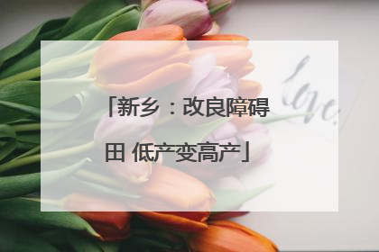 新乡：改良障碍田 低产变高产
