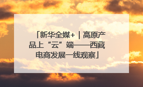 新华全媒+｜高原产品上“云”端——西藏电商发展一线观察