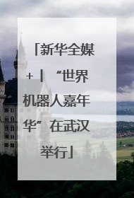 新华全媒+丨“世界机器人嘉年华”在武汉举行