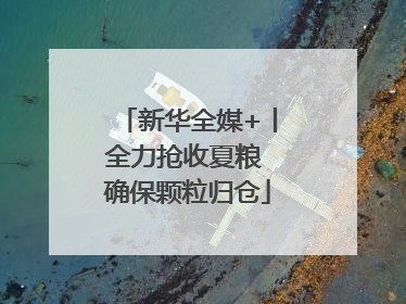 新华全媒+丨全力抢收夏粮 确保颗粒归仓