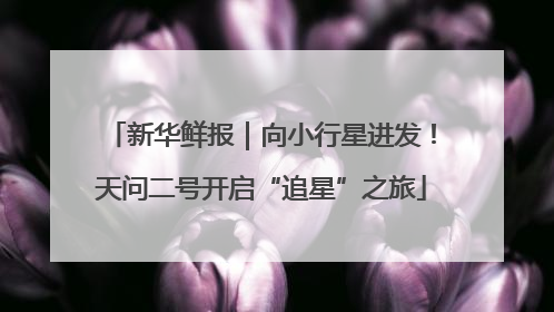 新华鲜报｜向小行星进发！天问二号开启“追星”之旅
