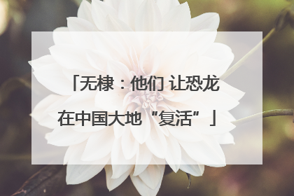 无棣：他们 让恐龙在中国大地“复活”