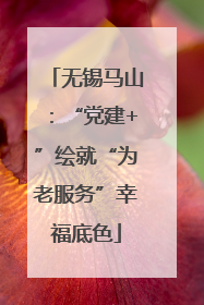无锡马山：“党建+”绘就“为老服务”幸福底色