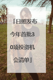 日照发布今年首批30项投资机会清单