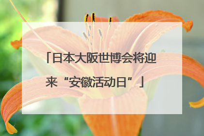 日本大阪世博会将迎来“安徽活动日”