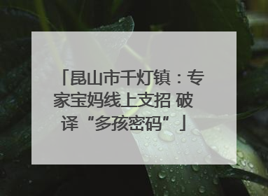 昆山市千灯镇：专家宝妈线上支招 破译“多孩密码”
