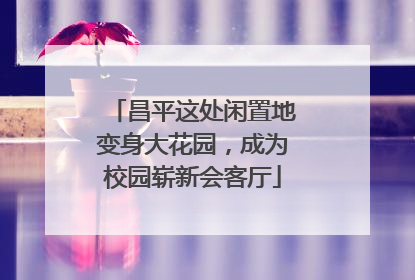 昌平这处闲置地变身大花园，成为校园崭新会客厅