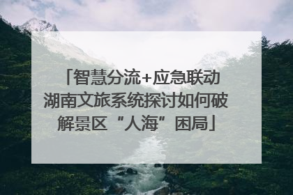 智慧分流+应急联动 湖南文旅系统探讨如何破解景区“人海”困局