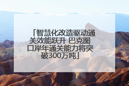 智慧化改造驱动通关效能跃升 巴克图口岸年通关能力将突破300万吨