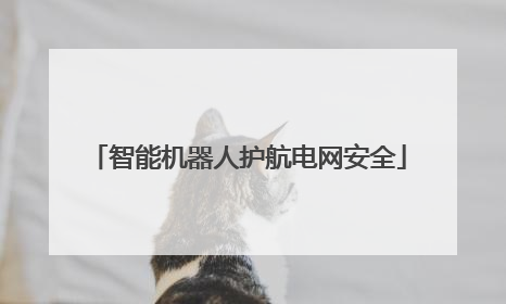 智能机器人护航电网安全