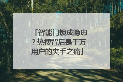 智能门锁成隐患？热搜背后是千万用户的夹手之痛