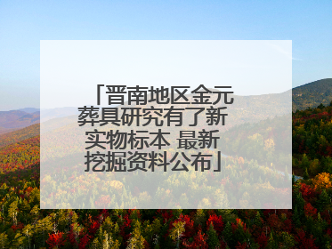 晋南地区金元葬具研究有了新实物标本 最新挖掘资料公布