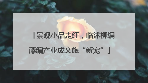 景观小品走红，临沭柳编藤编产业成文旅“新宠”