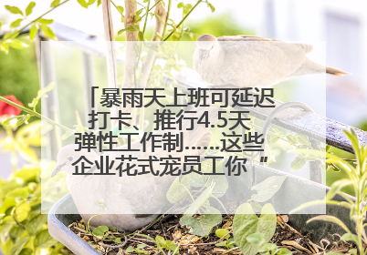 暴雨天上班可延迟打卡、推行4.5天弹性工作制……这些企业花式宠员工你“慕”了吗？