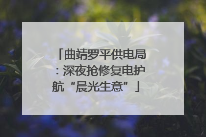 曲靖罗平供电局：深夜抢修复电护航“晨光生意”