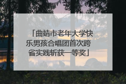曲靖市老年大学快乐男孩合唱团首次跨省实践斩获一等奖