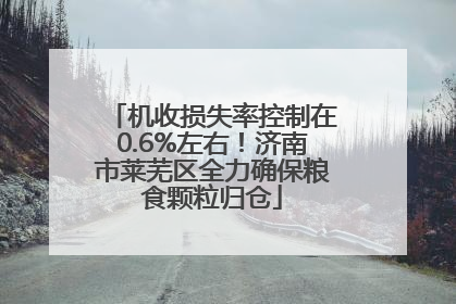 机收损失率控制在0.6%左右！济南市莱芜区全力确保粮食颗粒归仓