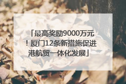 最高奖励9000万元！厦门12条新措施促进港航贸一体化发展