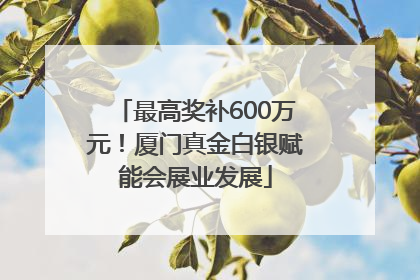 最高奖补600万元！厦门真金白银赋能会展业发展