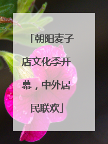 朝阳麦子店文化季开幕，中外居民联欢