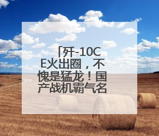 歼-10CE火出圈，不愧是猛龙！国产战机霸气名称大盘点