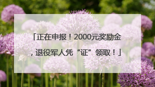 正在申报！2000元奖励金，退役军人凭“证”领取！