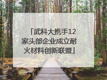 武科大携手12家头部企业成立耐火材料创新联盟