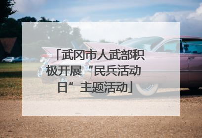 武冈市人武部积极开展“民兵活动日”主题活动