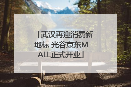 武汉再迎消费新地标 光谷京东MALL正式开业