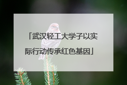 武汉轻工大学子以实际行动传承红色基因