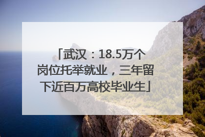 武汉：18.5万个岗位托举就业，三年留下近百万高校毕业生