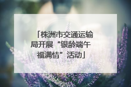 株洲市交通运输局开展“银龄端午福满情”活动
