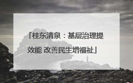 桂东清泉：基层治理提效能 改善民生增福祉