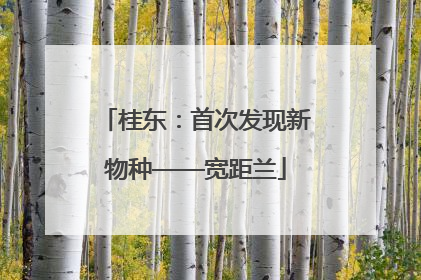 桂东：首次发现新物种——宽距兰